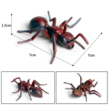Simulācijas Kukaiņi, Dzīvnieki, Dzīves Augšanas Cikla Modelis Mini Izmēra Varde, Vistas Bruņurupucis Ant Biologtic Izglītības Rotaļlietas Bērniem Dāvanu