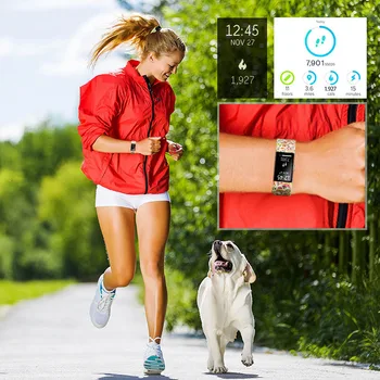 Grupa Nomaiņa Fitbit Maksas 2 Pūce Dizaina Silikona Siksniņu Rokassprādze Par Fitbit Maksas 2 Sportband Mazā Lielā Izmēra